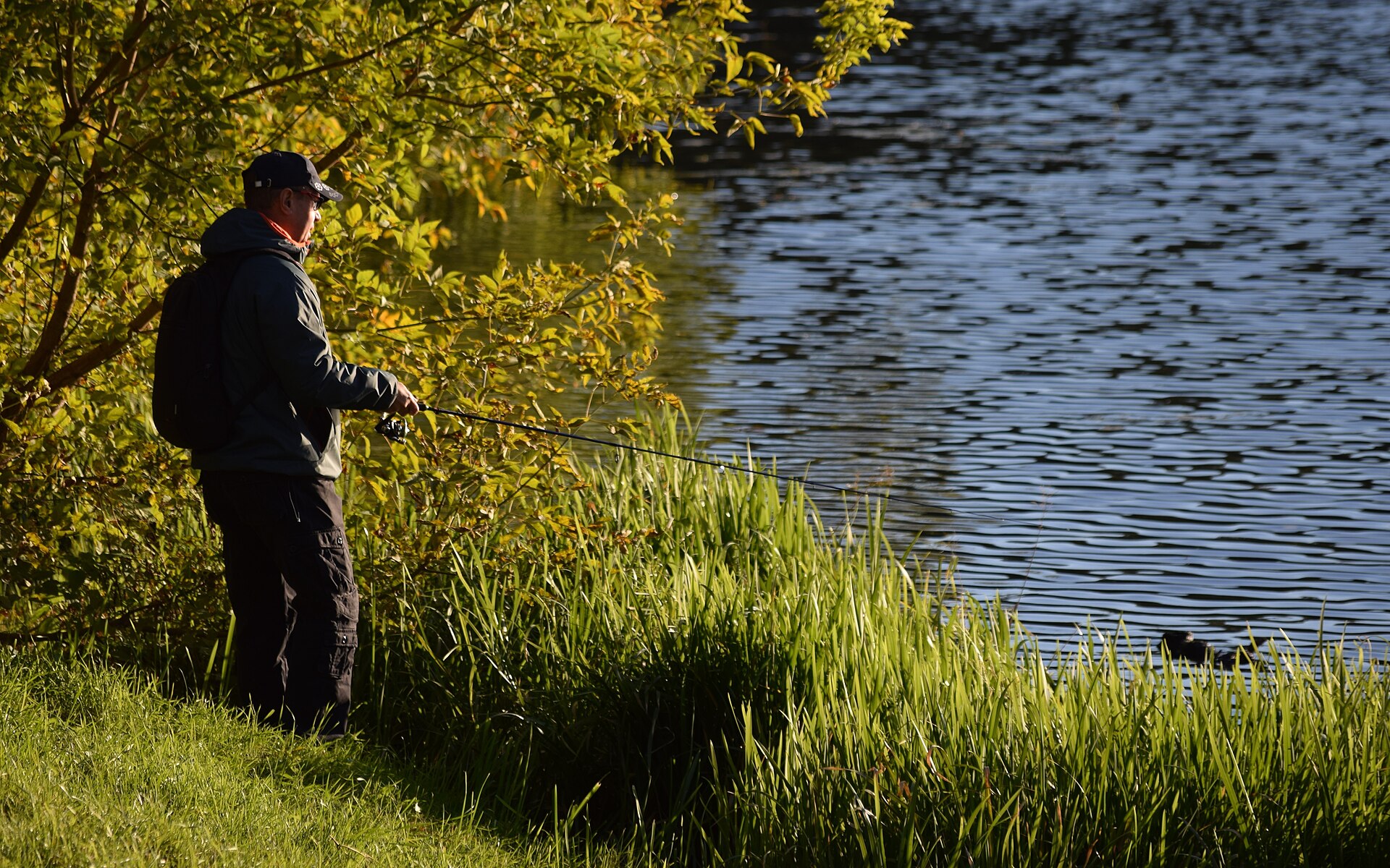 Een visser aan het water, omringd door natuur